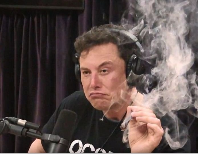 Elon Musk smoking a joint