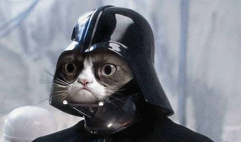 Grumpy Cat Star Wars