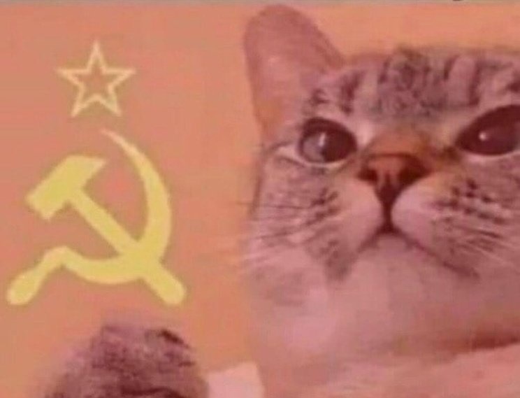 Communist cat