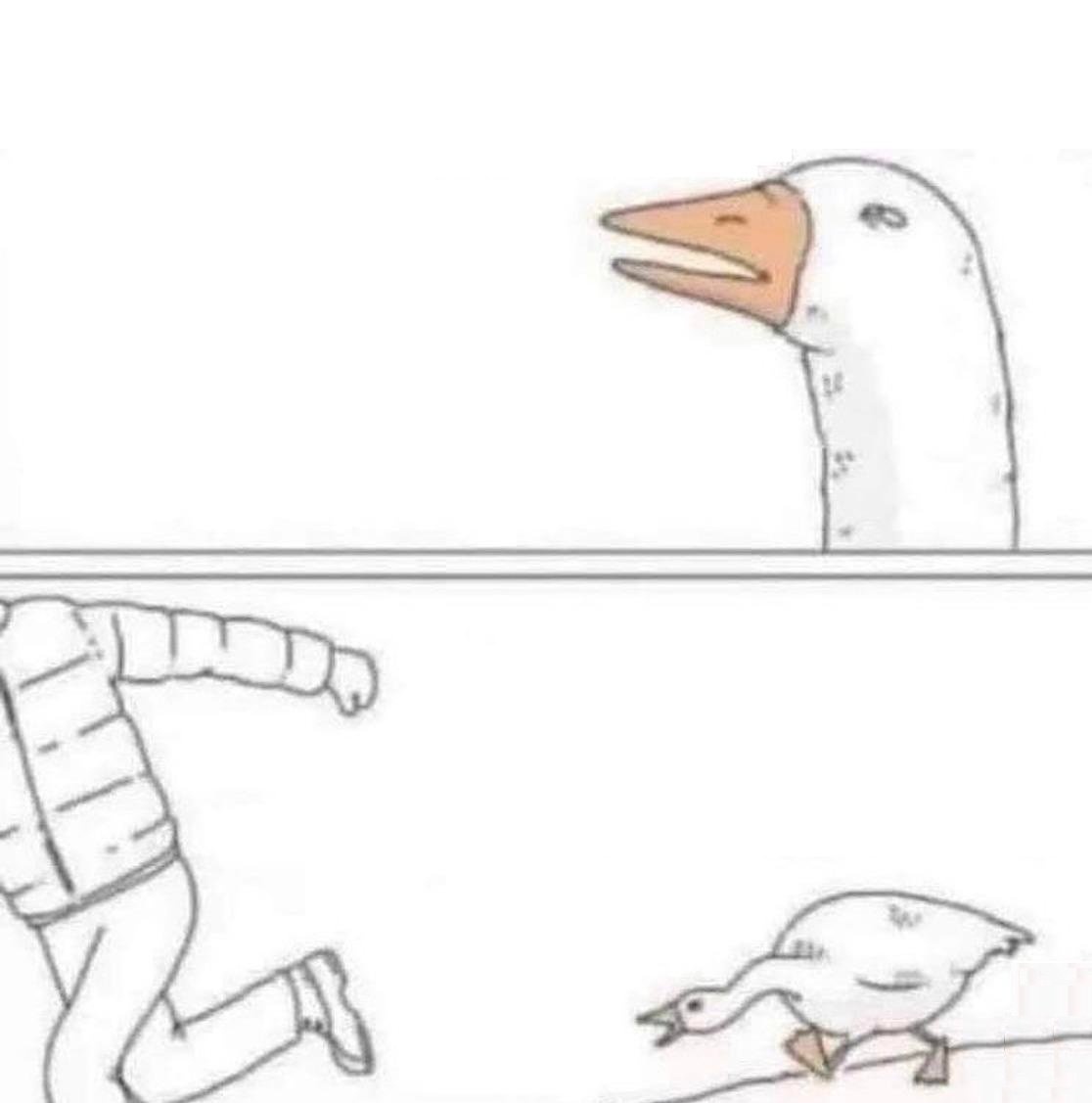Goose Chase