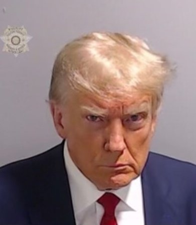 Donald Trump Mugshot