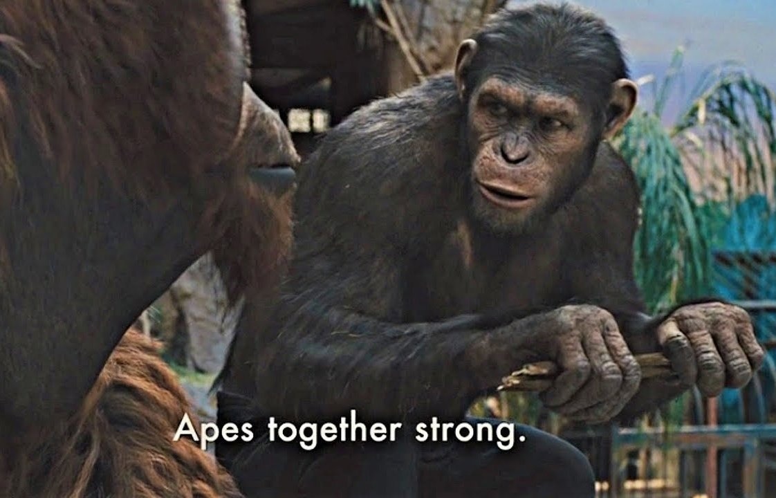 Apes Together Strong