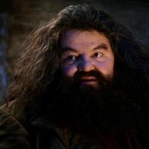 You're a wizard harry